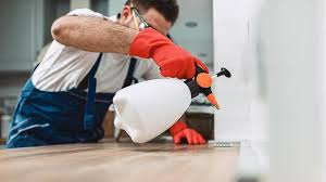 Best Real Estate Pest Inspections  in Sabina, OH